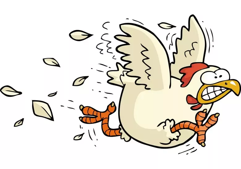 Chicken Road spill 17